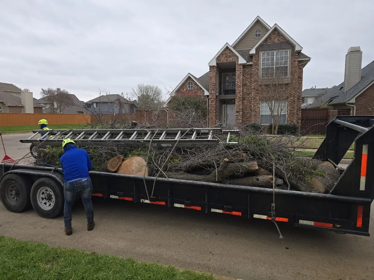 Expert Tree Fertilization with proper safety equipment in Almont
